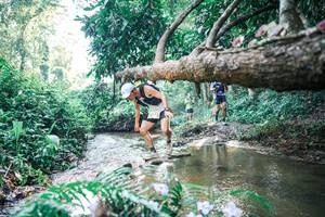 BIB: 
                            <button type="button" onclick="openModal(25437529)" class="btn btn-primary btn-sm float-right btn-popup" data-toggle="modal" data-target=".modal-high-quality">
                        <i class="fas fa-shopping-cart"></i> Add to Cart
                    </button>
                                            <button type="button" onclick="isThisMe(25437529, true)" class="btn btn-success btn-sm float-right btn-popup btn-isme hidden" data-toggle="tooltip" data-placement="bottom" title="นี่คือรูปของคุณใช่ไหม คลิกที่นี่เพื่อเอาเข้าอัลบั้ม">
                        <i class="fas fa-plus"></i> Add to album
                    </button>
                    <button type="button" onclick="isThisMe(25437529, false)" class="btn btn-warning btn-sm float-right btn-popup btn-isnotme hidden">
                        <i class="fas fa-ban"></i> Remove from album
                    </button>